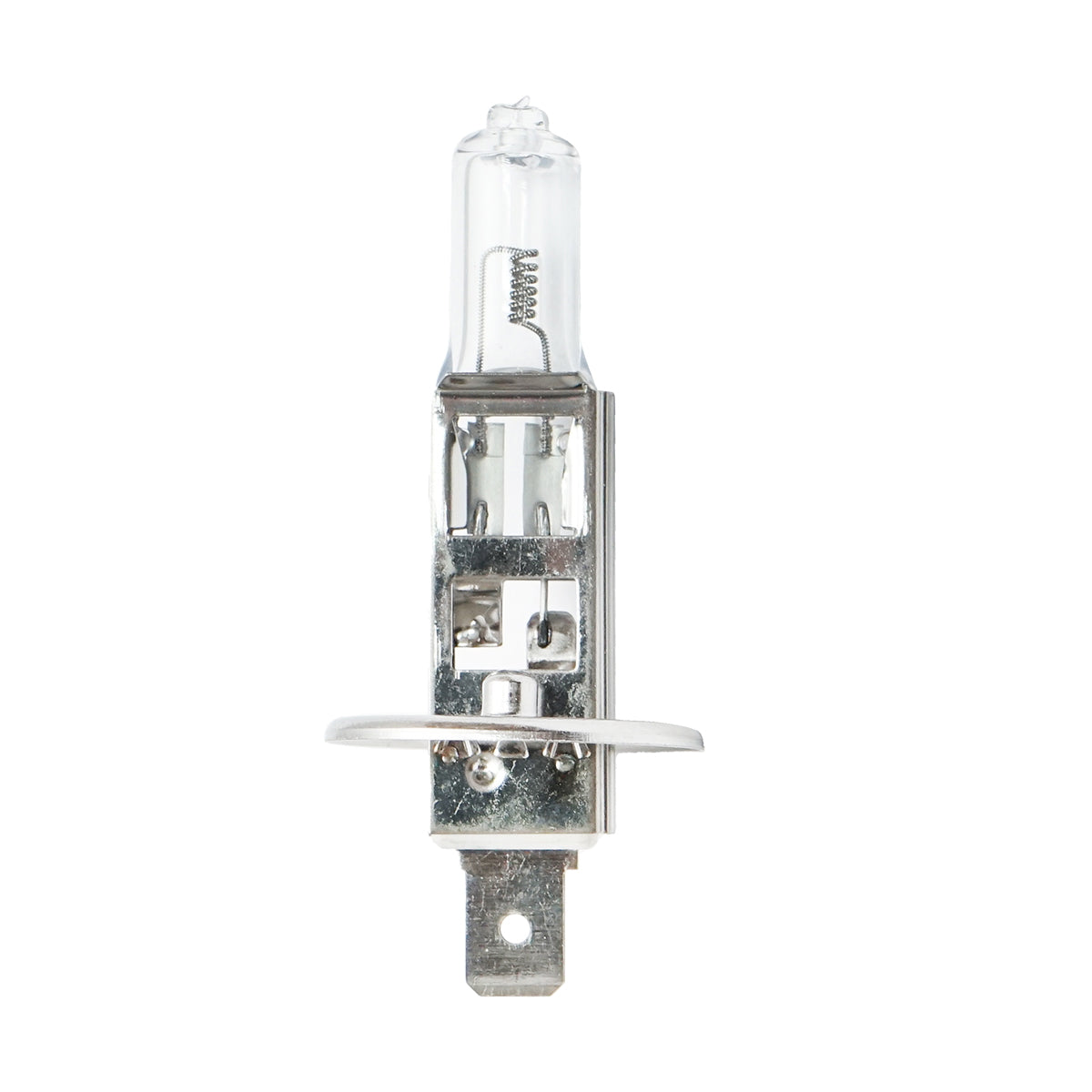 H1 24V 70W Bulb Breckner Germany